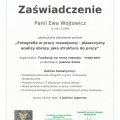 Powiększ obraz: certificate 2