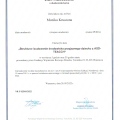 Powiększ obraz: certificate 3