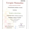 Powiększ obraz: certificate 8
