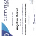Powiększ obraz: certificate 3