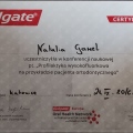 Powiększ obraz: certificate 5