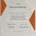 Powiększ obraz: certificate 2