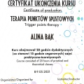 Powiększ obraz: certificate 2