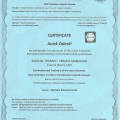 Powiększ obraz: certificate 9