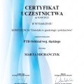 Powiększ obraz: certificate 8