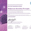 Powiększ obraz: certificate 4