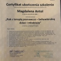 Powiększ obraz: certificate 1