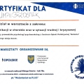 Powiększ obraz: certificate 6