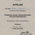 Powiększ obraz: certificate 8