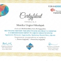 Powiększ obraz: certificate 4