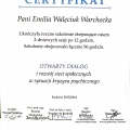 Powiększ obraz: certificate 8