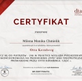 Powiększ obraz: certificate 11