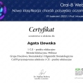 Powiększ obraz: certificate 1
