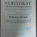 Powiększ obraz: certificate 1