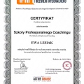 Powiększ obraz: certificate 2