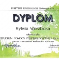 Powiększ obraz: certificate 2