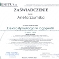 Powiększ obraz: certificate 19