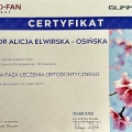 Powiększ obraz: certificate 22