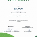 Powiększ obraz: certificate 12