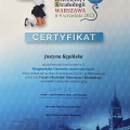 Powiększ obraz: certificate 9
