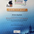 Powiększ obraz: certificate 8