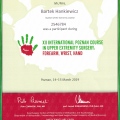 Powiększ obraz: certificate 6