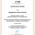Powiększ obraz: certificate 3