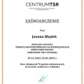 Powiększ obraz: certificate 5