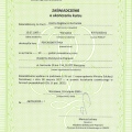 Powiększ obraz: certificate 9