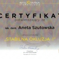 Powiększ obraz: certificate 22