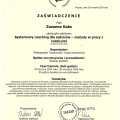 Powiększ obraz: certificate 6