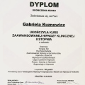 Powiększ obraz: certificate 3