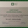 Powiększ obraz: certificate 8