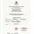 Powiększ obraz: certificate 9