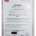 Powiększ obraz: certificate 2