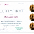 Powiększ obraz: certificate 5