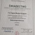 Powiększ obraz: certificate 1