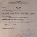 Powiększ obraz: certificate 3