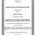 Powiększ obraz: certificate 6