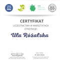 Powiększ obraz: certificate 19