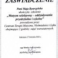 Powiększ obraz: certificate 2