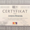 Powiększ obraz: certificate 3