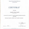 Powiększ obraz: certificate 8