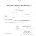 Powiększ obraz: certificate 14