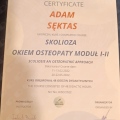 Powiększ obraz: certificate 12