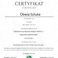 Powiększ obraz: certificate 2