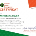 Powiększ obraz: certificate 7