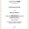 Powiększ obraz: certificate 41