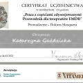 Powiększ obraz: certificate 22