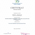 Powiększ obraz: certificate 5